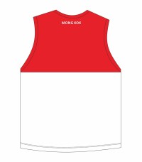 file/artwork/17/230/cn/DG-VJ004 (2).jpg